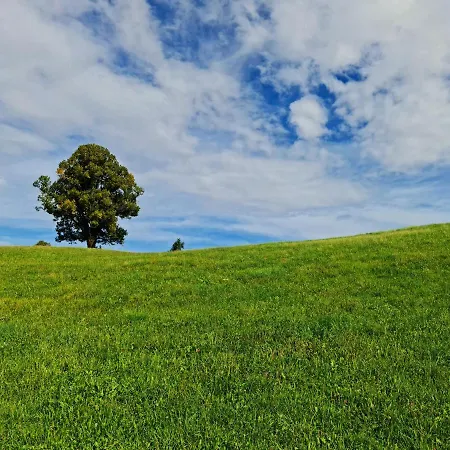 Apartamento Hochgratblick Modern.gemuetlich.entspannt