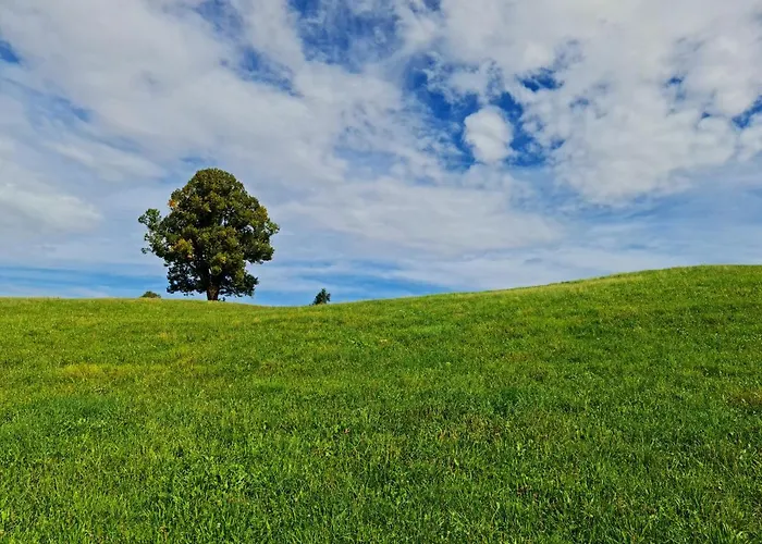 Appartement Hochgratblick Modern.gemuetlich.entspannt